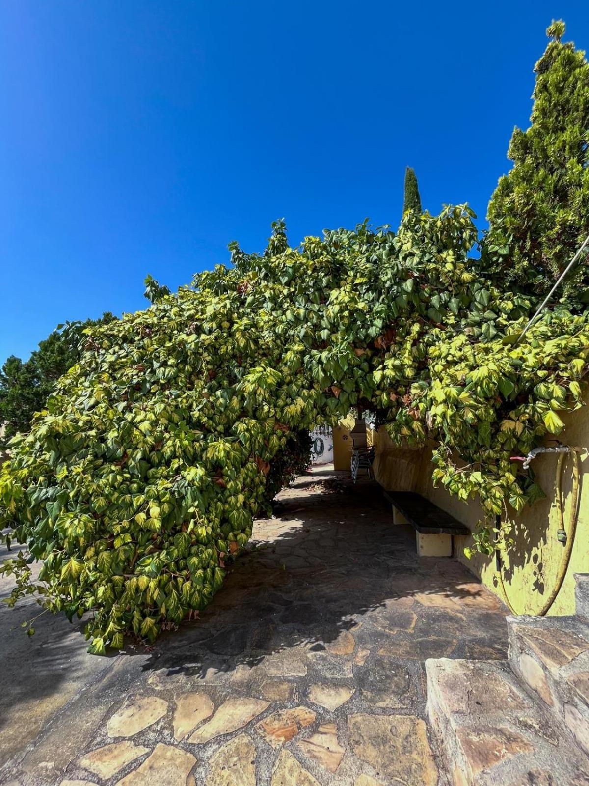 Casa Mar Benissa Calpe Leilighet Eksteriør bilde