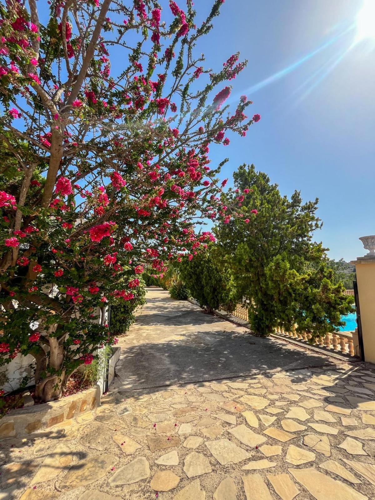 Casa Mar Benissa Calpe Leilighet Eksteriør bilde
